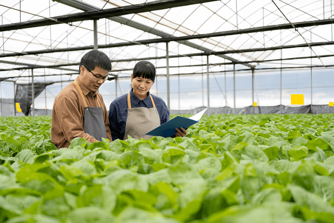 Empowering Farmers The Comis Biotech Approach to Chemical-Free Agriculture